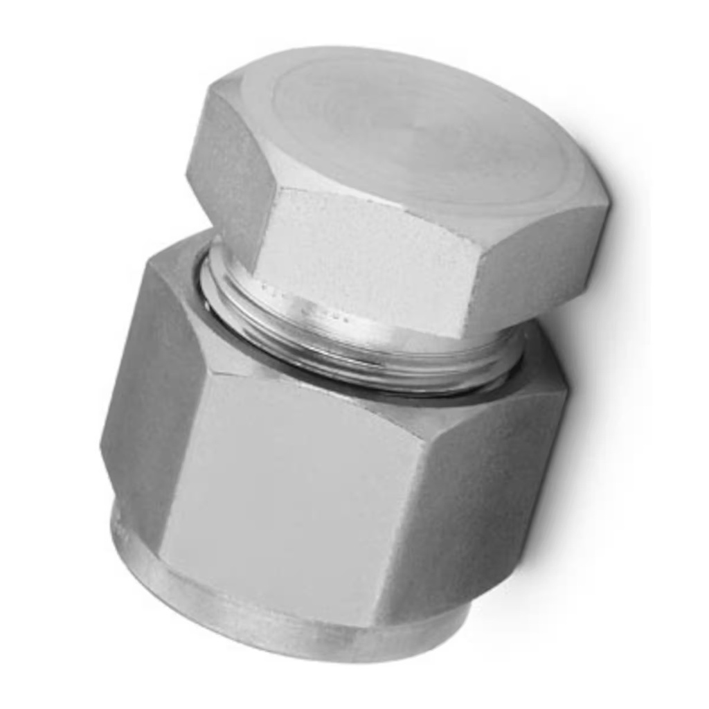 SS-600-C TUBE CAP