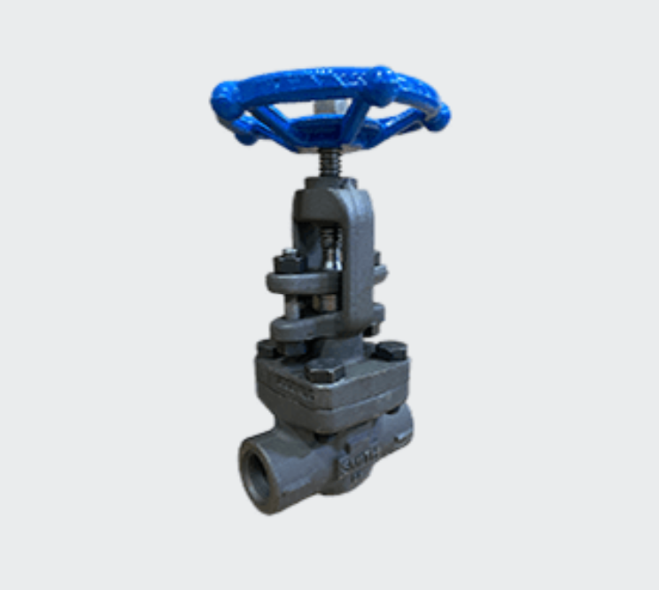 0800OOOOO Smith Gate Valve