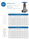 0800OOOOO Smith Gate Valve